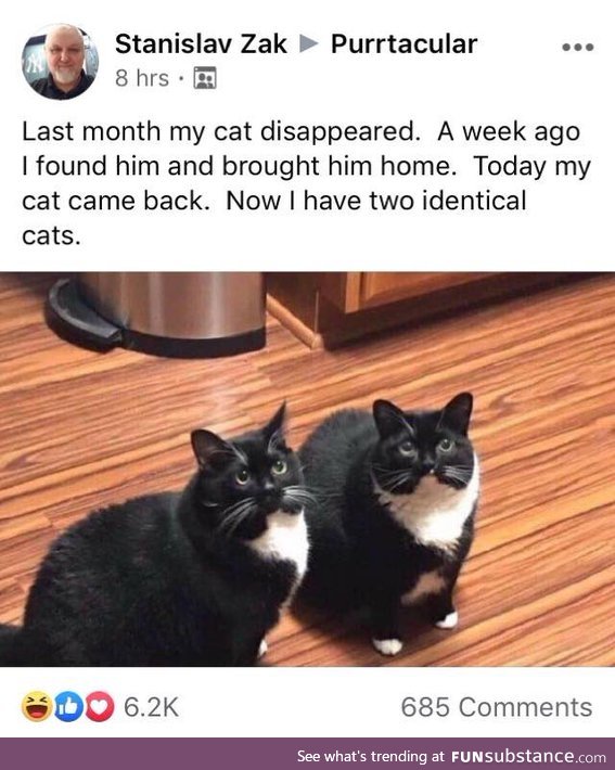 How you get TWO cats