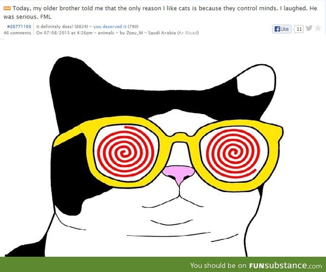 All glory to the hypno cat