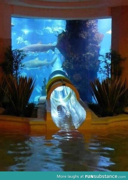 Epic water slide