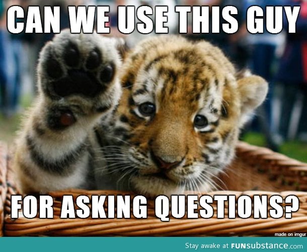 Question cub meme?