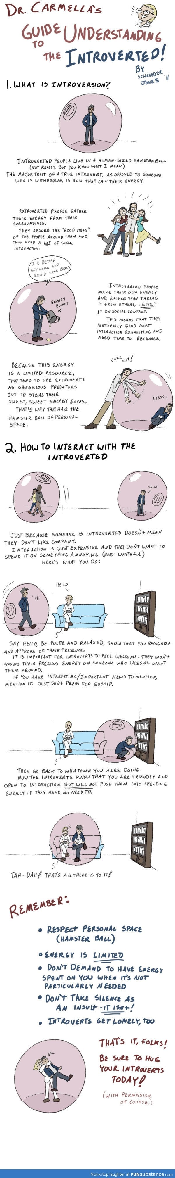 Introvert Guide