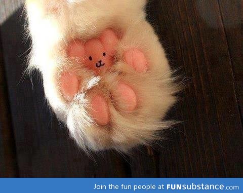 I will never look at my cat's paws the same