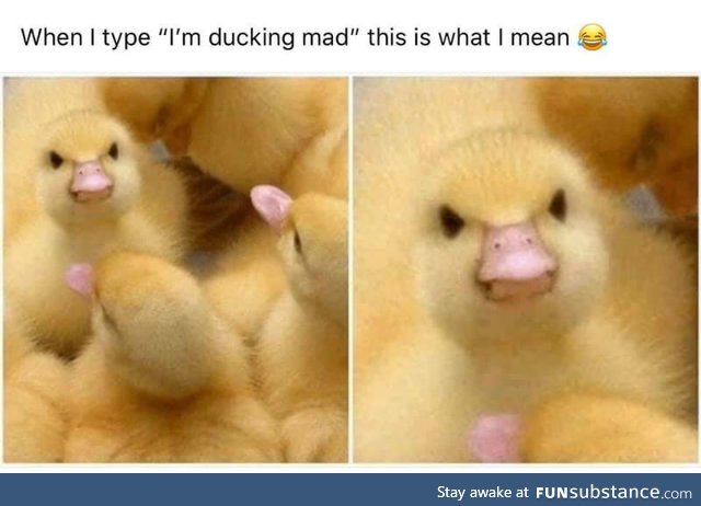 Ducking mad