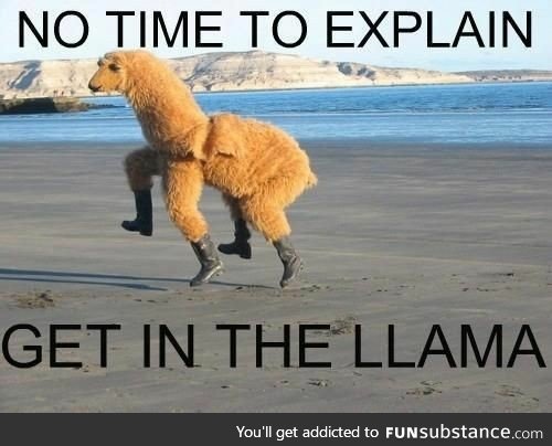 Get in the Llama