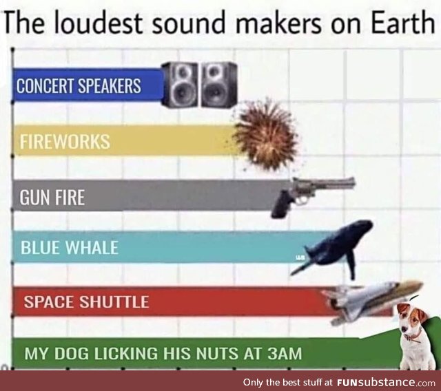 It's so loud