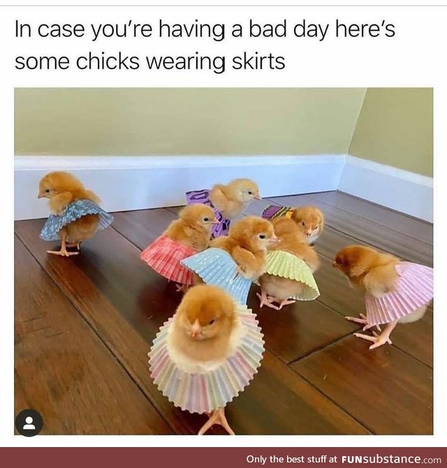 Cute Chicks in Tiny Skirts