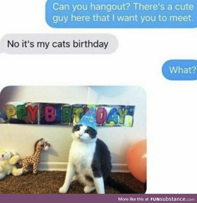 Birthday cat!!!