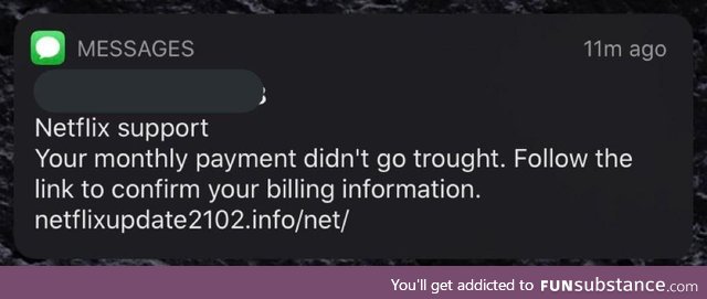 It’s cute that this scammer thinks I pay for my own Netflix