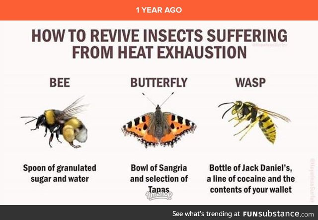 Those pesky waspsps