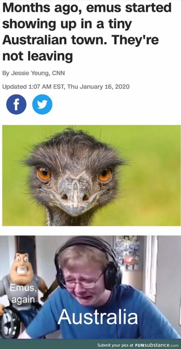 Its the Great Emu War 2