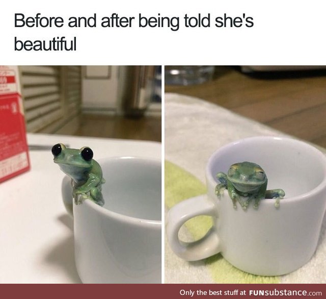 Beautiful Frog Before and After