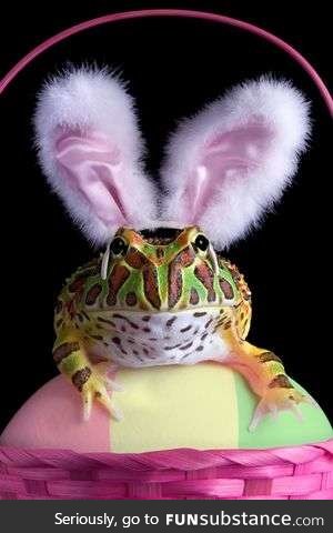Froggo Fun #113 - Happy (Orthodox) Easter!