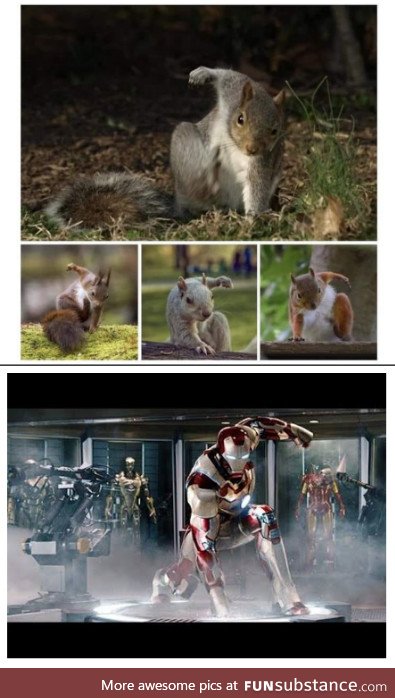 Realizing that squirrels usually land like Iron Man