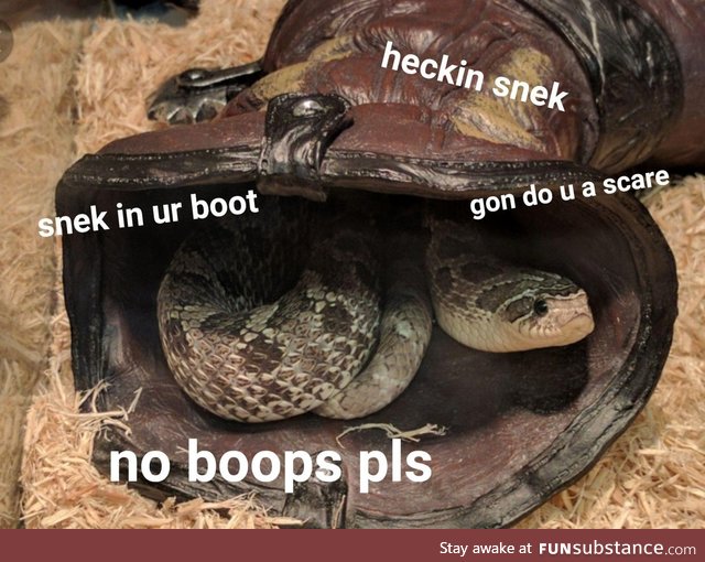 Snek in your boot don't want no boops