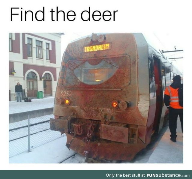 Find the deer