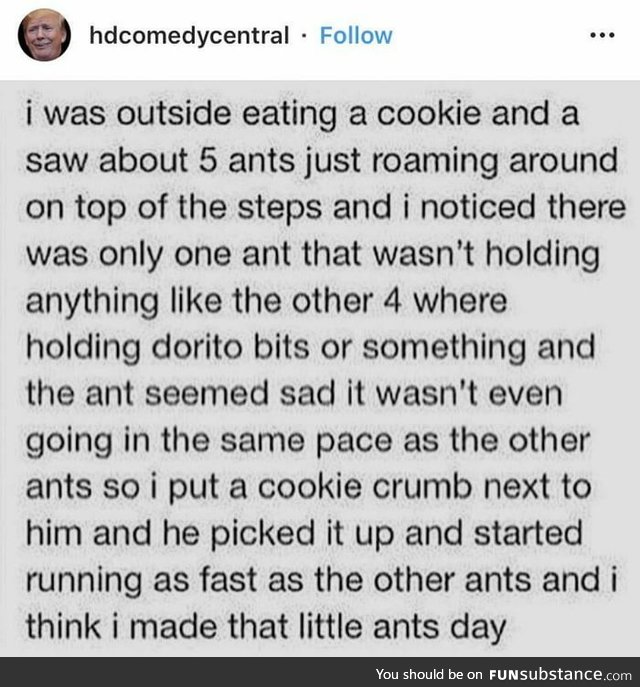 Wholesome ant support