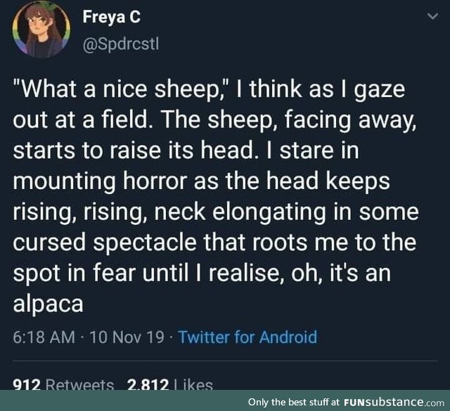 &gt;Giraffe sheep