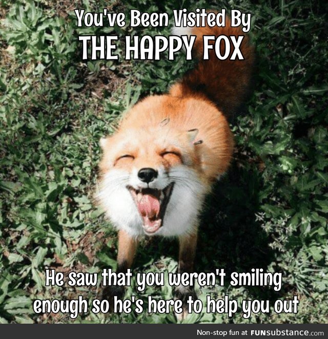 The Only Thing More Contagious Than COVID19 Might Be This Fox's Smile