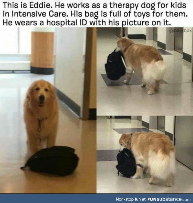 Good boi :)