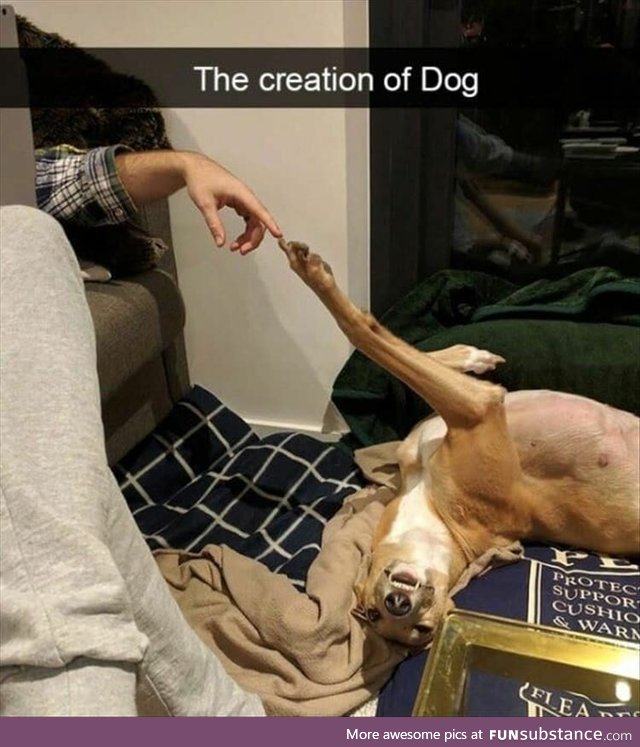 The Creation of Dog. And it was a good boi