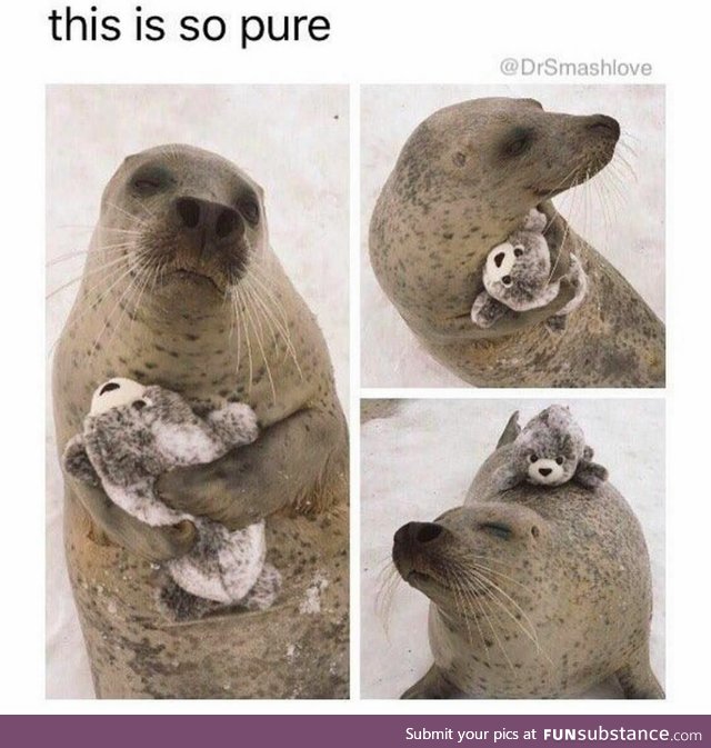 Wholesome Seal