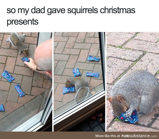 Squirrel Christmas Presents