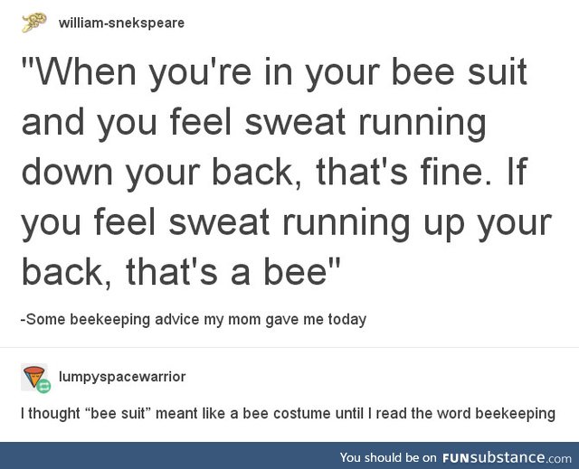 Always listen to the advice of a beekeeper