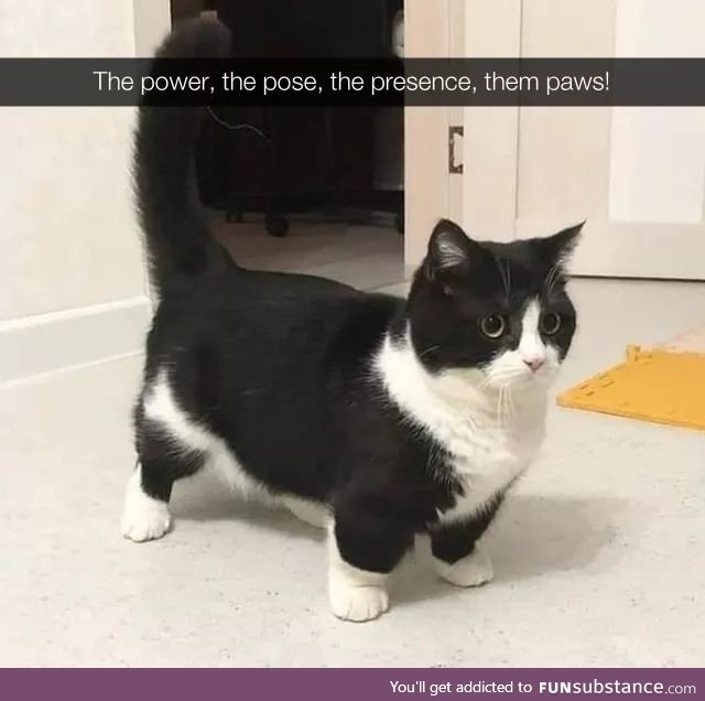 Power stance