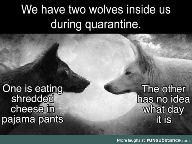 The third wolf wants to know where the cheese got pajama pants in the first place