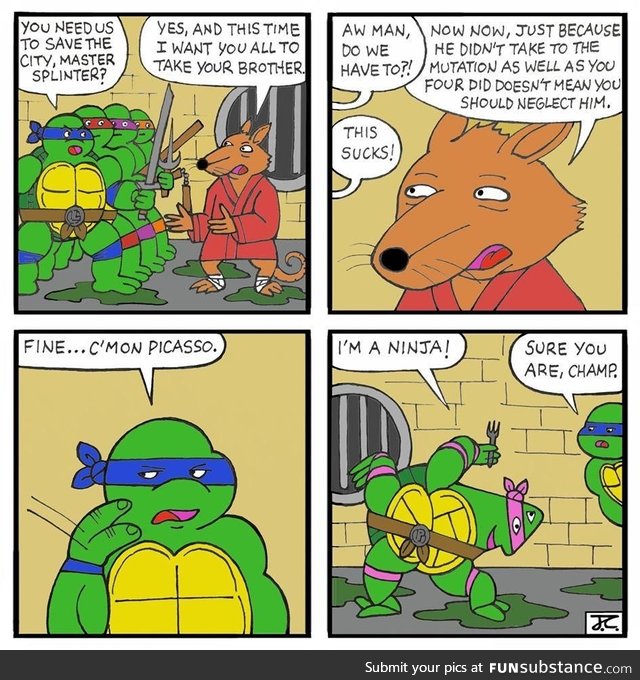 The fifth turtle