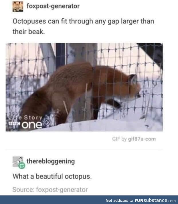 The only issue is when the octopus gets it's hooves stuck