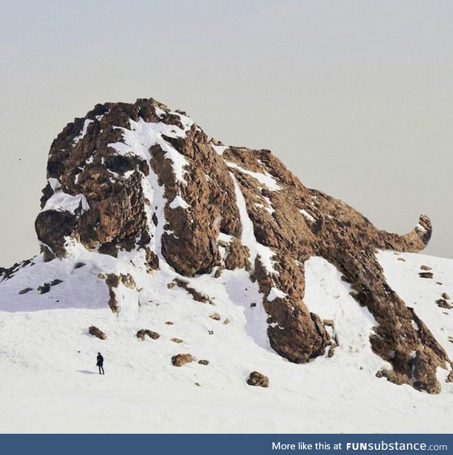 Looks like the final resting place of Clifford the big red dog