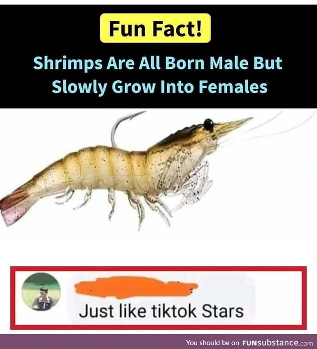 Fun fact!