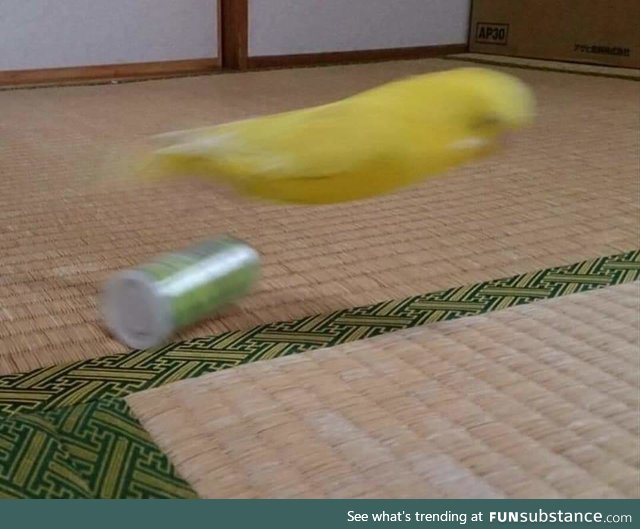 Faster than a speeding banan