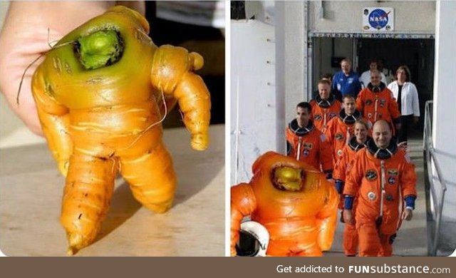 Astronaut carrot