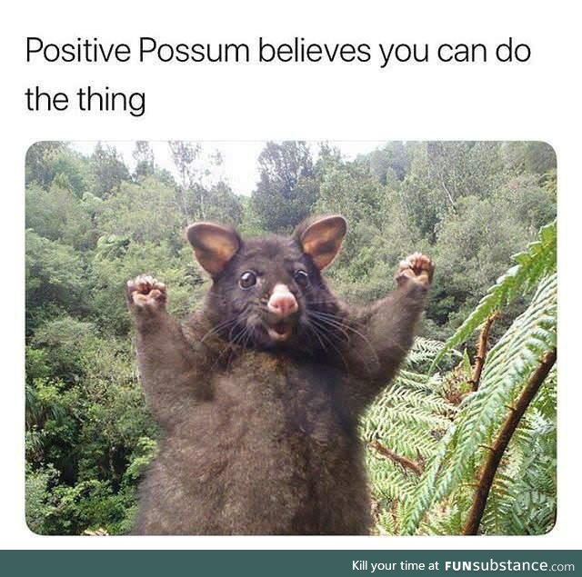 Positive possum