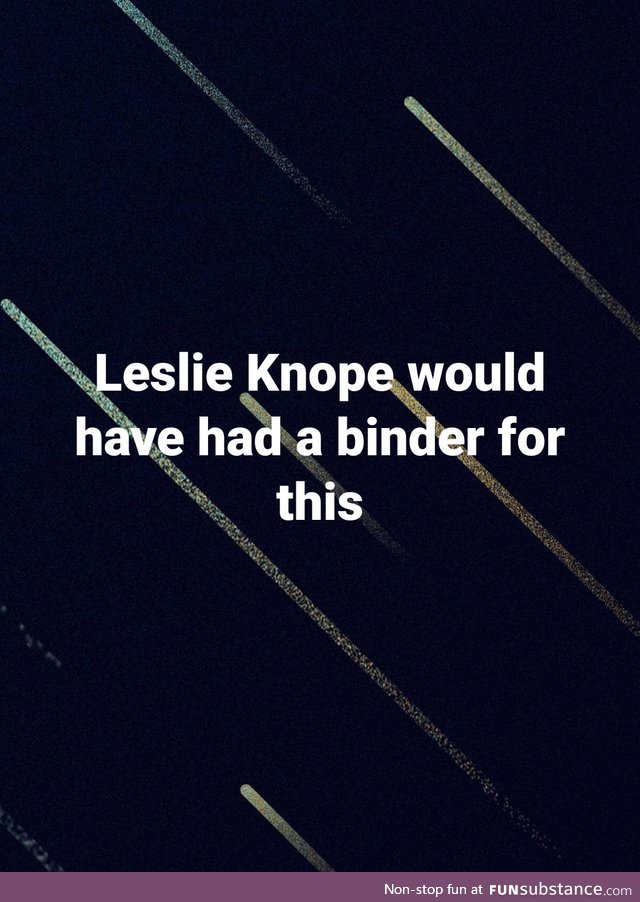 Leslie knope 2020