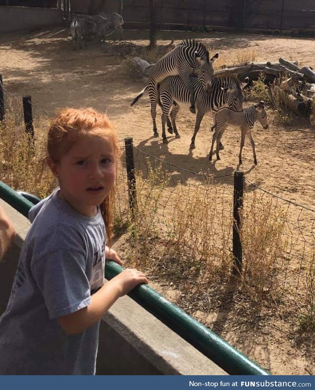 Trip to the zoo