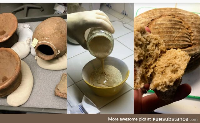 Scientist bakes sourdough bread with 4,500-year-old yeast found in Egyptian pottery