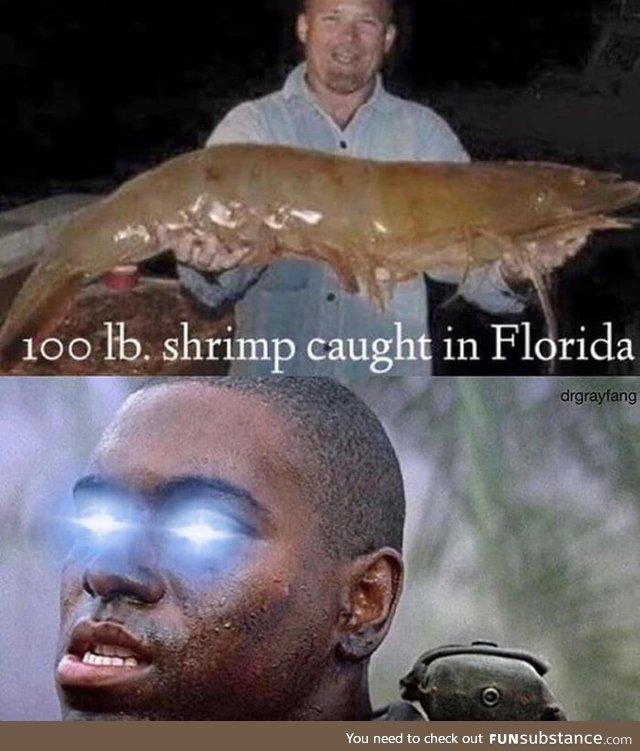 Bubba do be eating shrimp doh