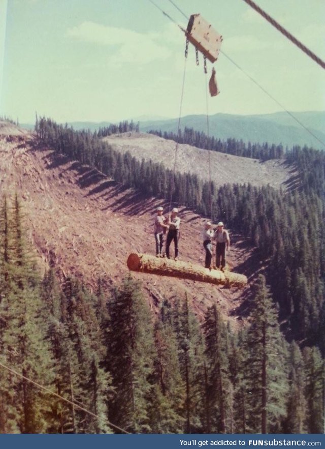 Loggers are a different breed, circa 1977