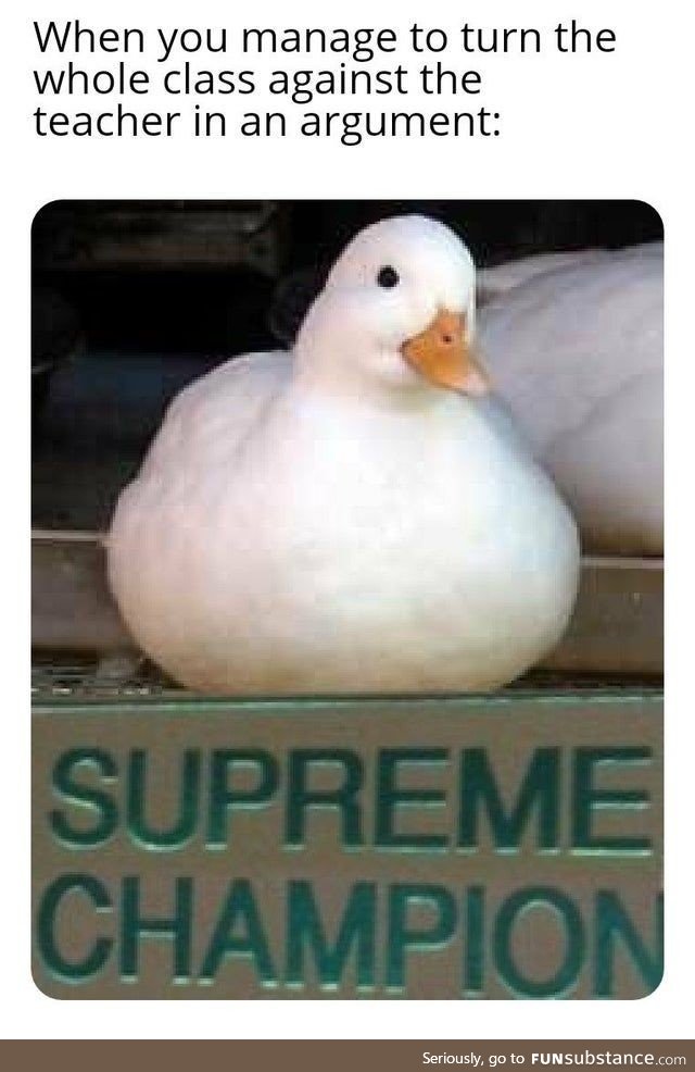 Nice duck