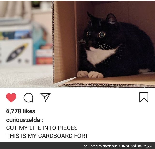 I wish I had a fort