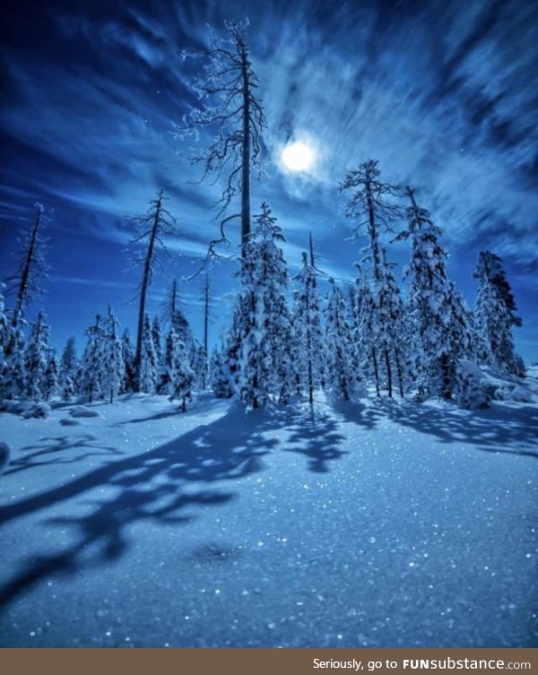 Diamonds in the snow under the Moonlight. Ranua, Finland