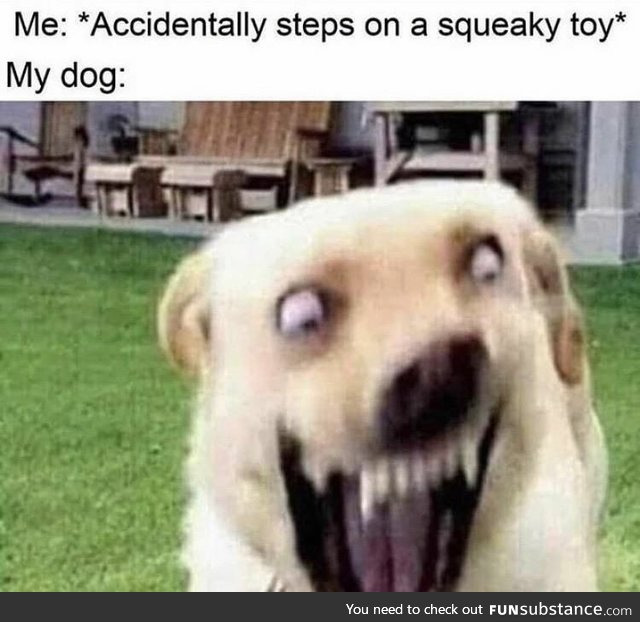 Squeaky toy