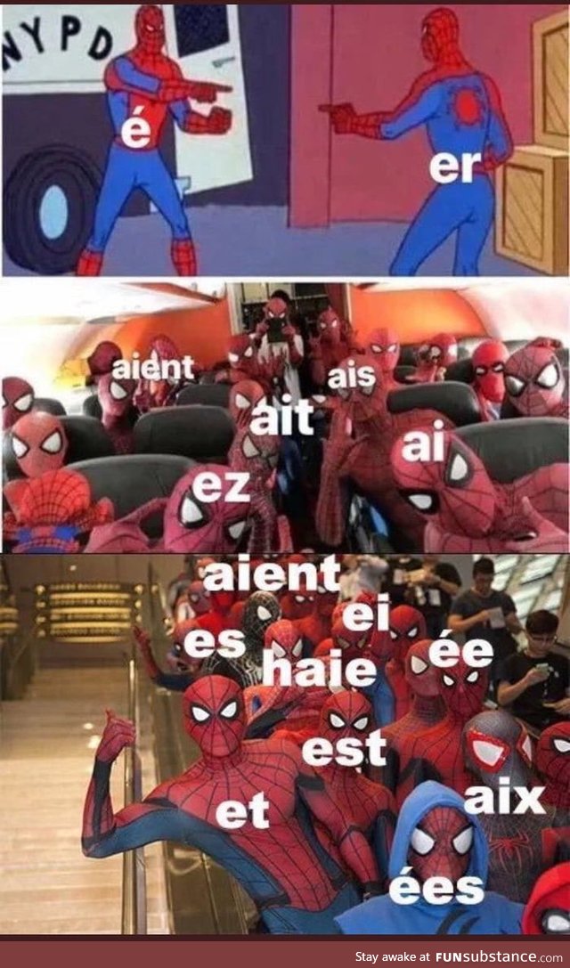 French in a nutshell