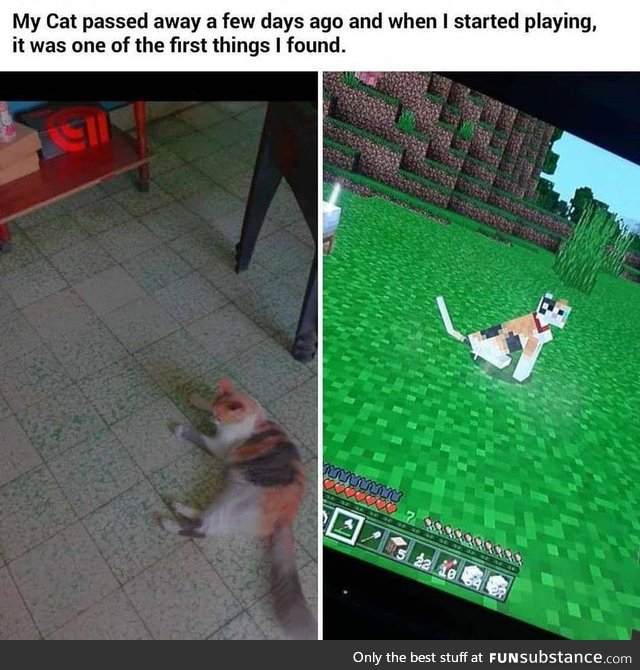 Minecraft Cat