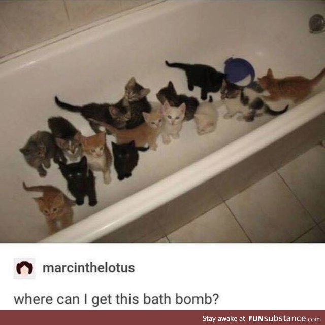 Cats in the Bath