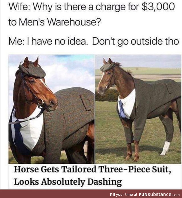 The flyest horse at all