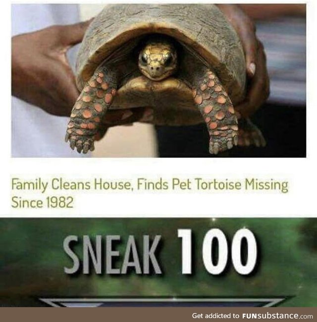 Sneaking madlad